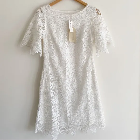 Anthropologie Charleston Lace Mini Dress