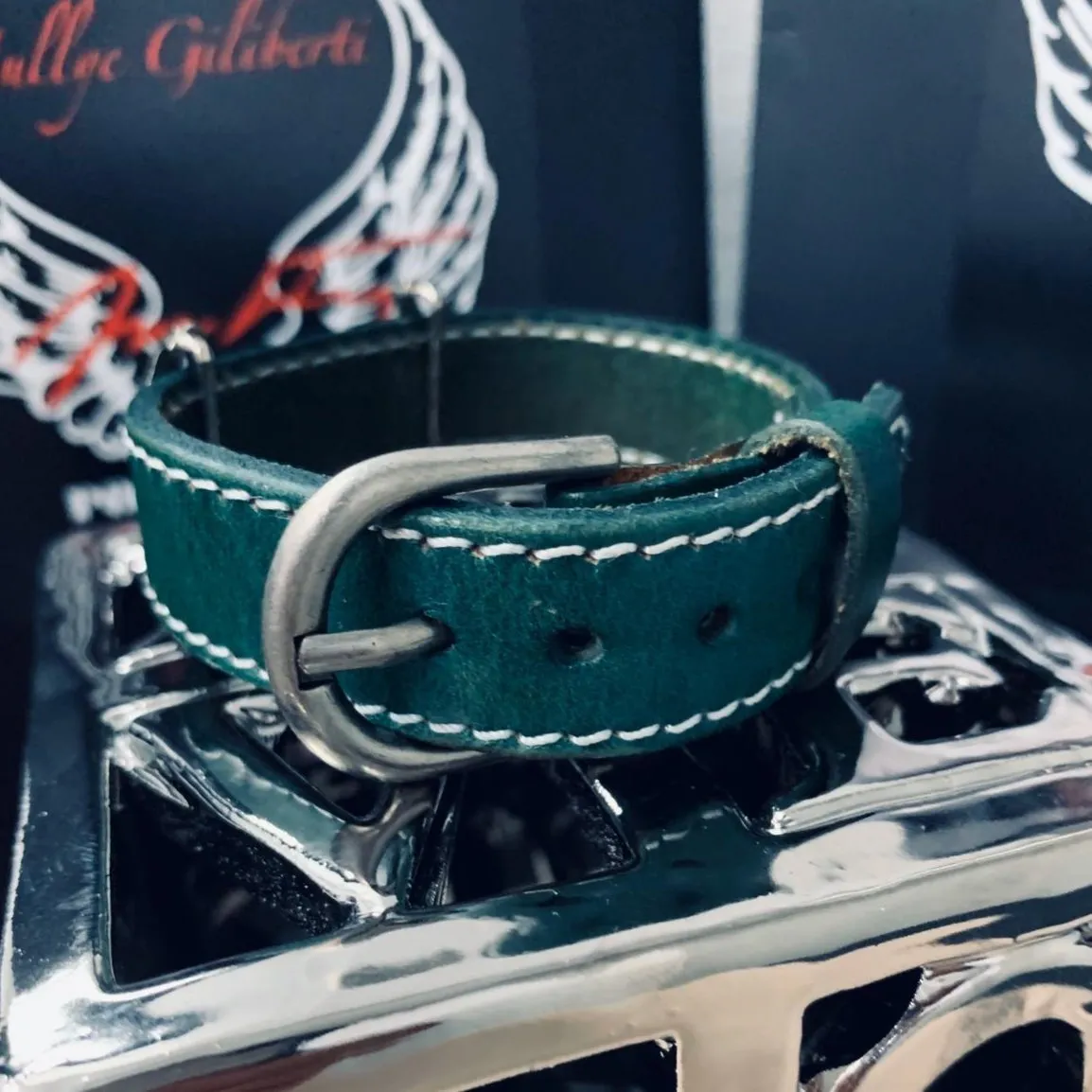 Bracelet Powerful Collection Color Green - Power Wings By Jullye Giliberti