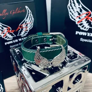 Bracelet Powerful Collection Color Green - Power Wings By Jullye Giliberti