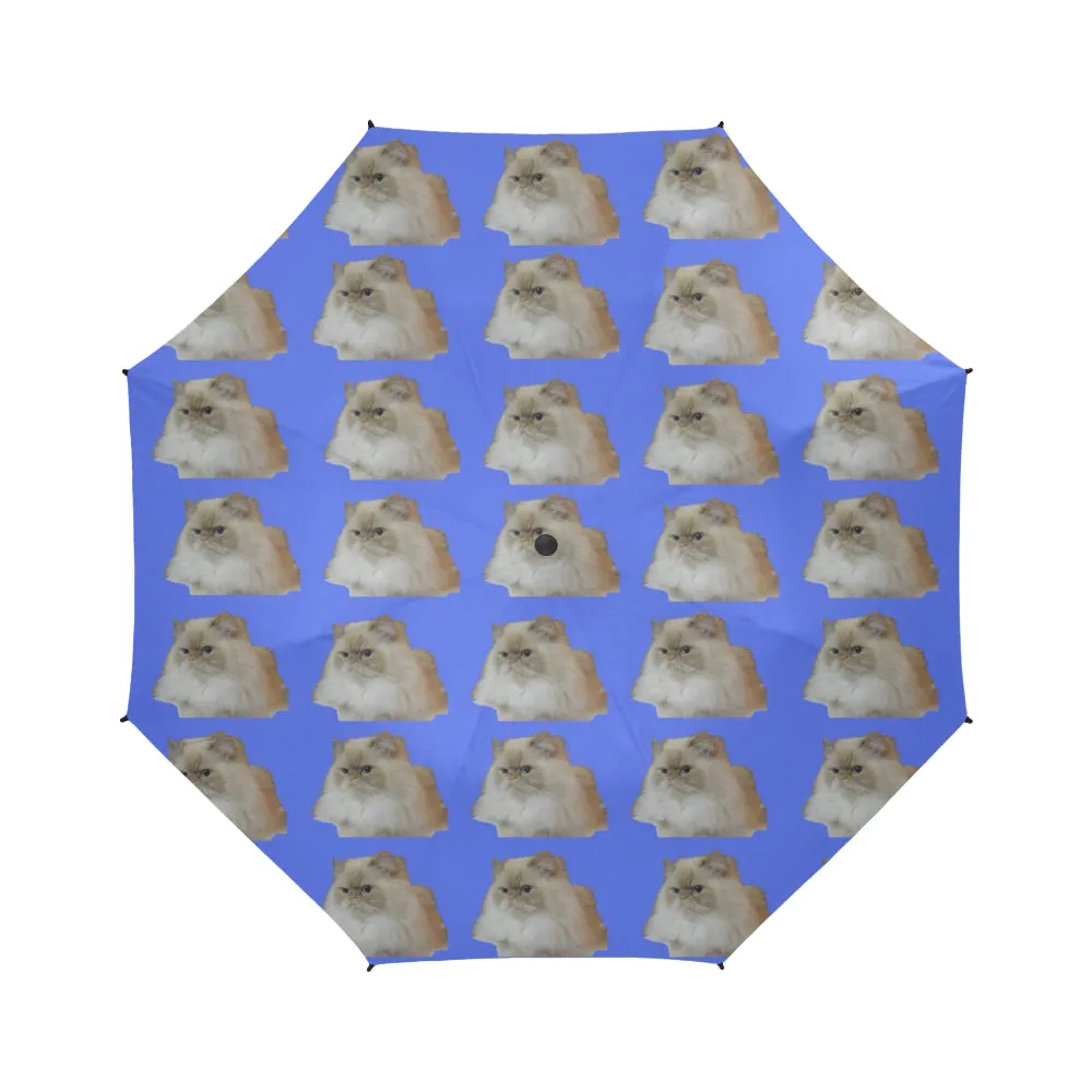 Flame Pointed Rag Doll Cat Umbrella