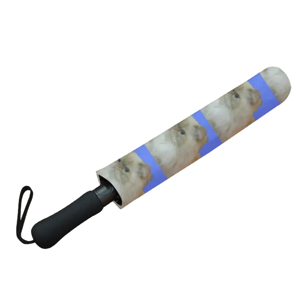 Flame Pointed Rag Doll Cat Umbrella