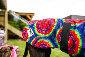 Go crazy with our retro cotton sports