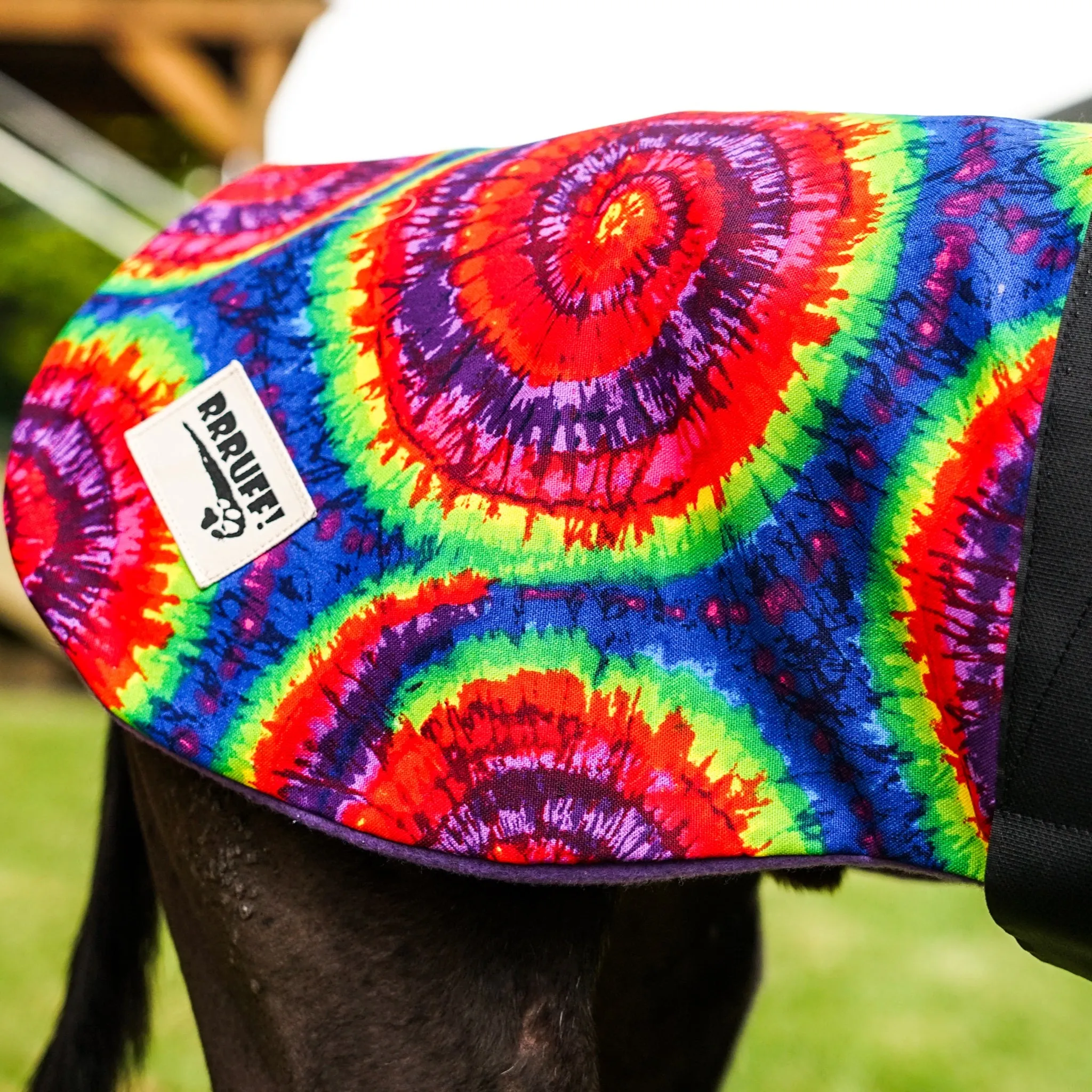 Go crazy with our retro cotton sports