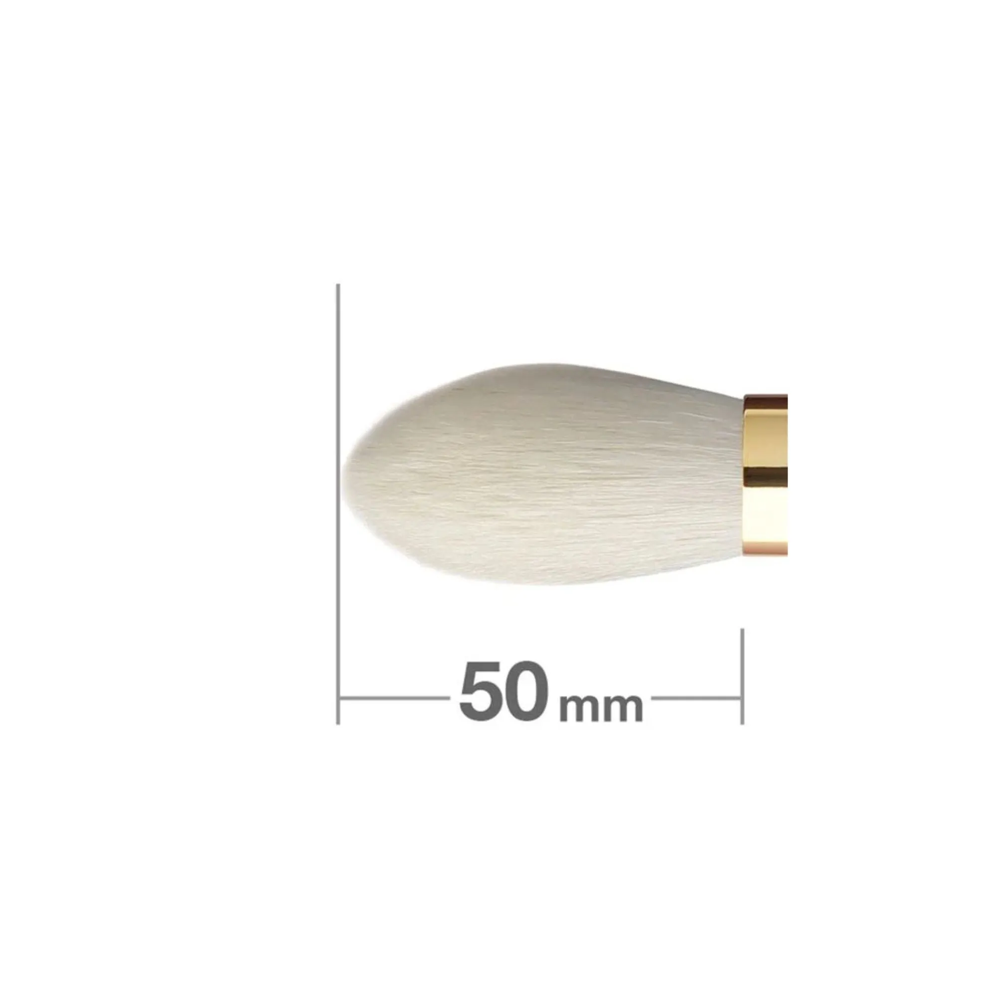 Hakuhodo S103Bk Blush Brush Tapered, S100 Black Series