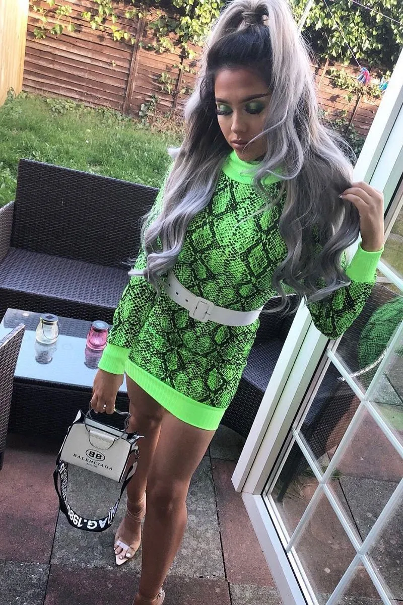 Lime Snake Print Roll Neck Mini Jumper Dress - Azani