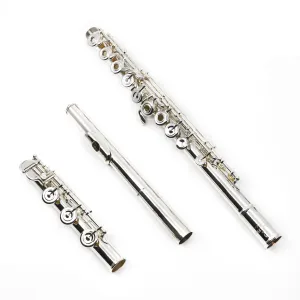 Pearl Dolce Series Flute Model 695 - New